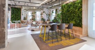 Biofilija u dizajnu kroz 14 elemenata